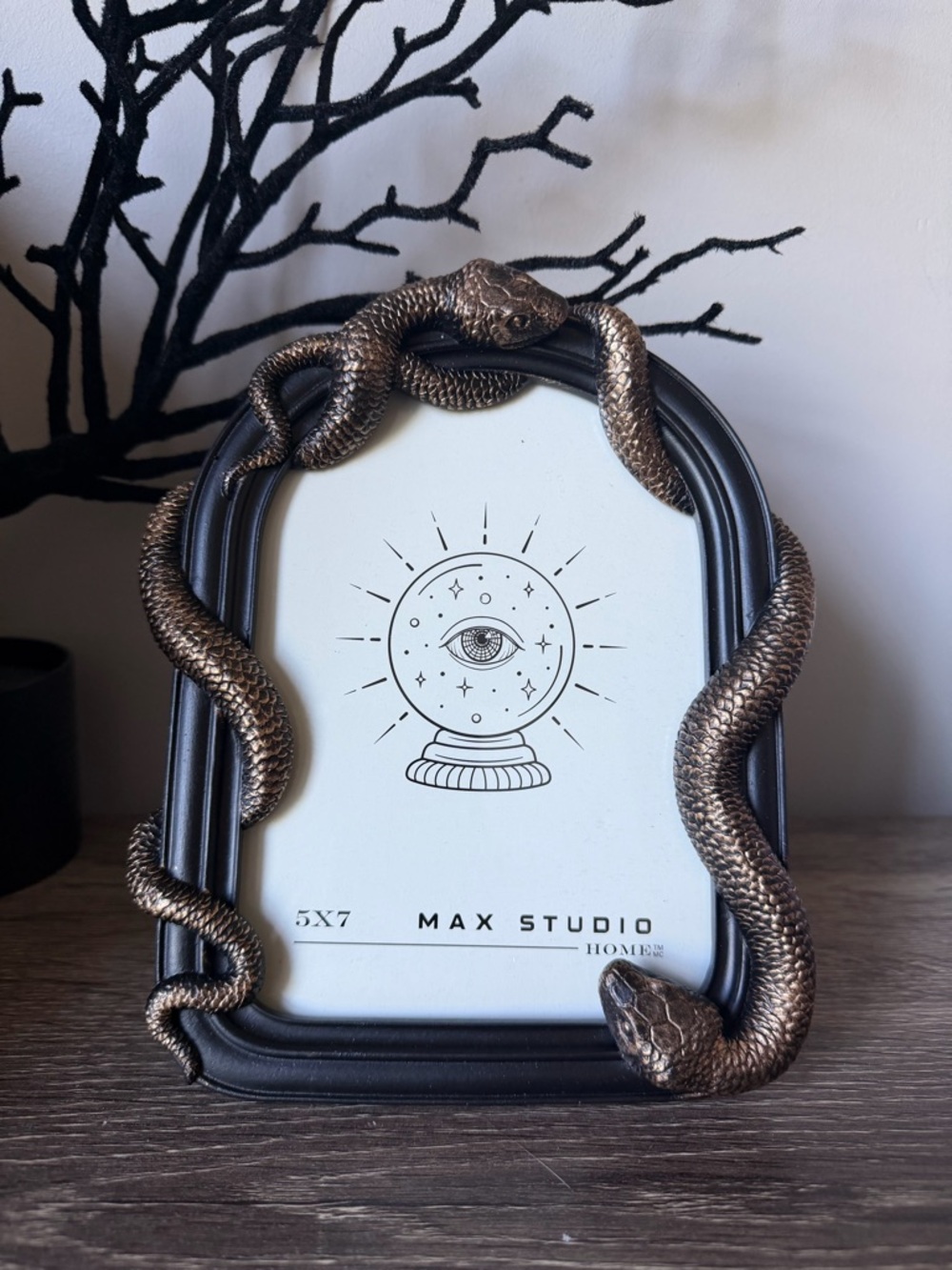Max Studio Halloween Snakes Picture Frame Home NEW 5 x 7 Spooky Horror Ghost